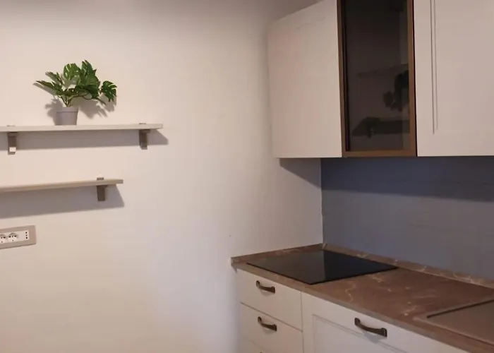 Vistabellaborromeoflat Apartment Baveno
